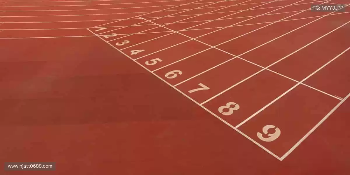 体育周边,冠军同款,你的专属装备库!🏆🎯